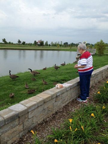 picnic breakfast Mark ducks