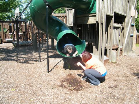 picnic sept nancy slide